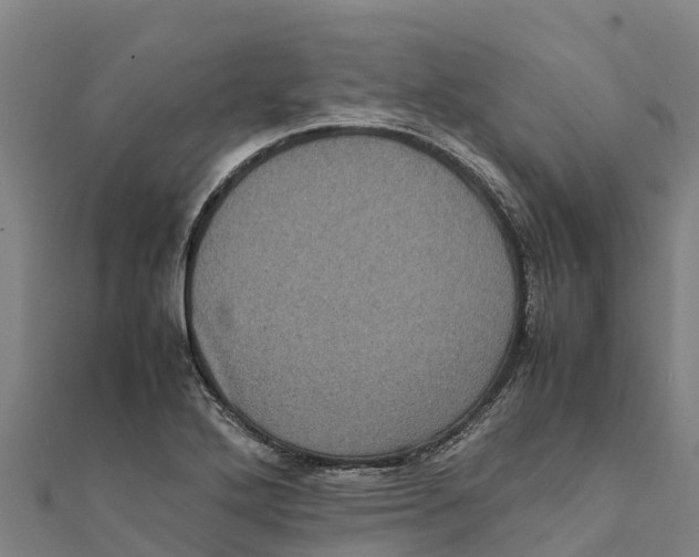 X0000111601272200908131355