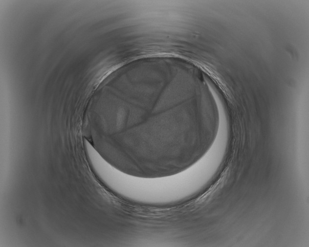 X0000111601273200908131355