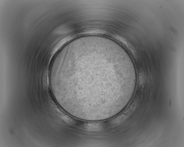 X0000111601274200908131355