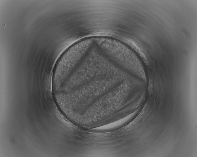 X0000111601276200908131355