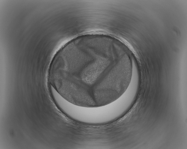X0000111601277200908131355