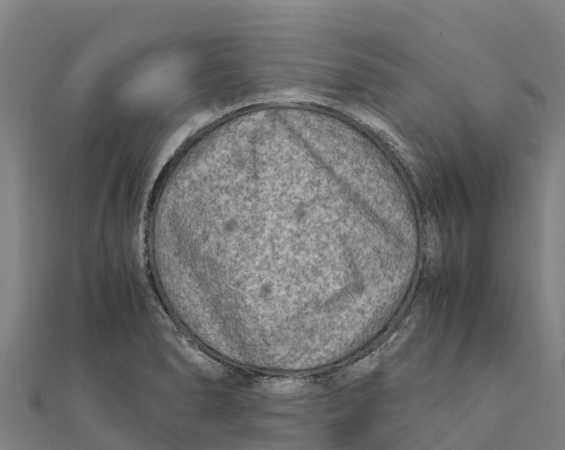 X0000111601278200908131355