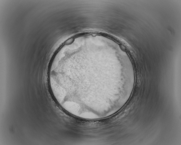 X0000111601279200908131355