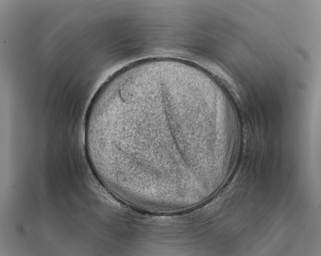 X0000111601280200908131355
