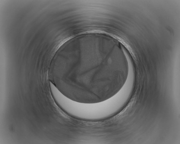 X0000111601281200908131355