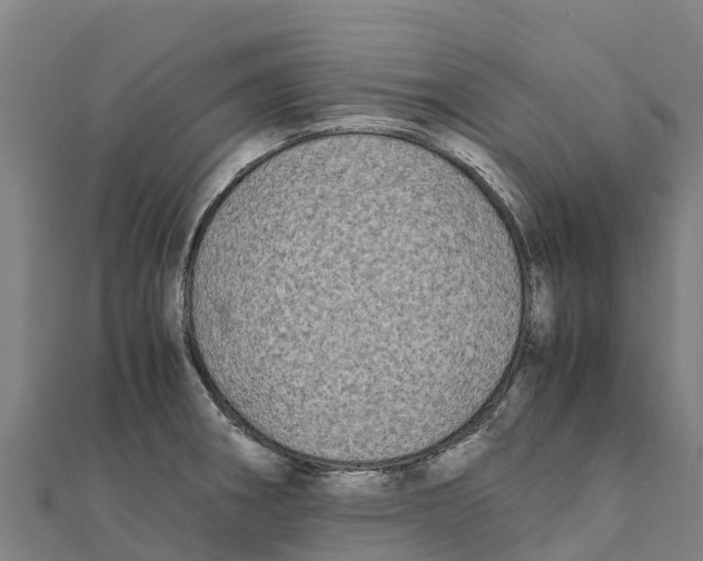 X0000111601282200908131355