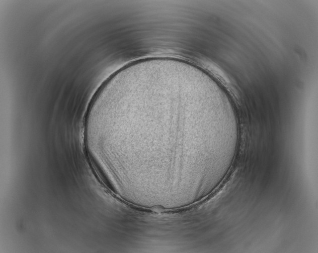 X0000111601284200908131355
