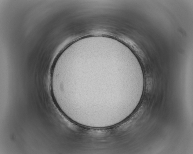 X0000111601286200908131355