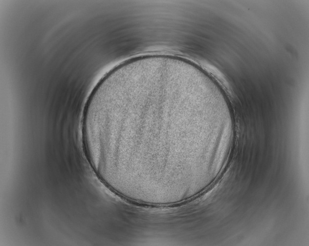 X0000111601288200908131355