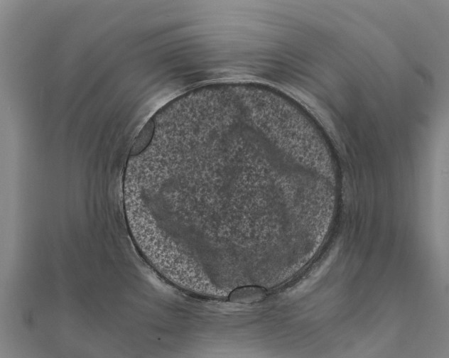 X0000111601289200908131355