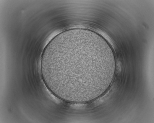 X0000111601290200908131355