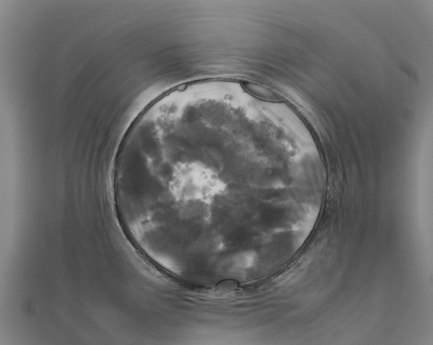 X0000111601291200908131355