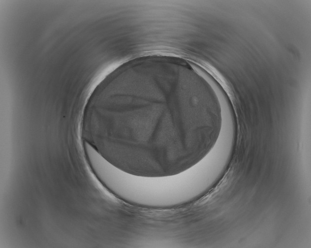 X0000111601293200908131355