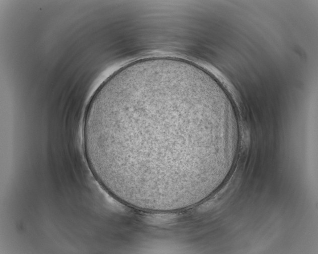 X0000111601294200908131355