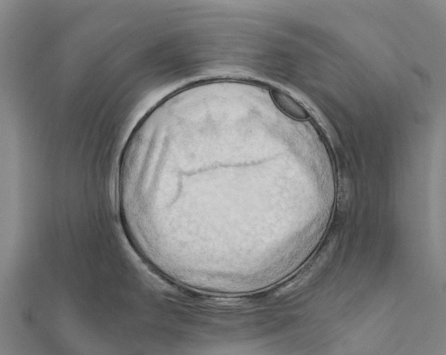 X0000111601295200908131355