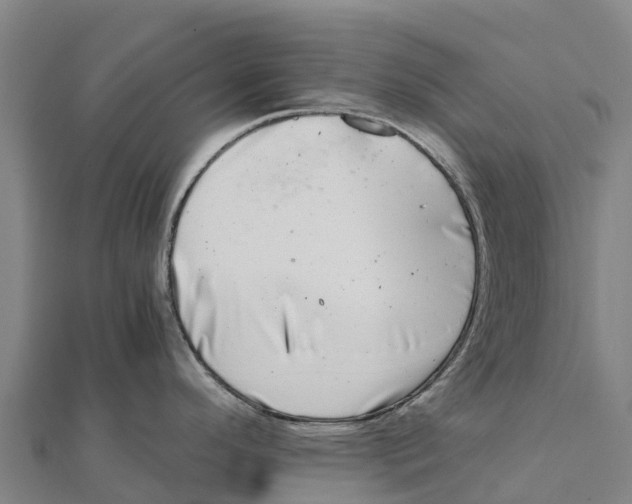 X0000111601296200908131354