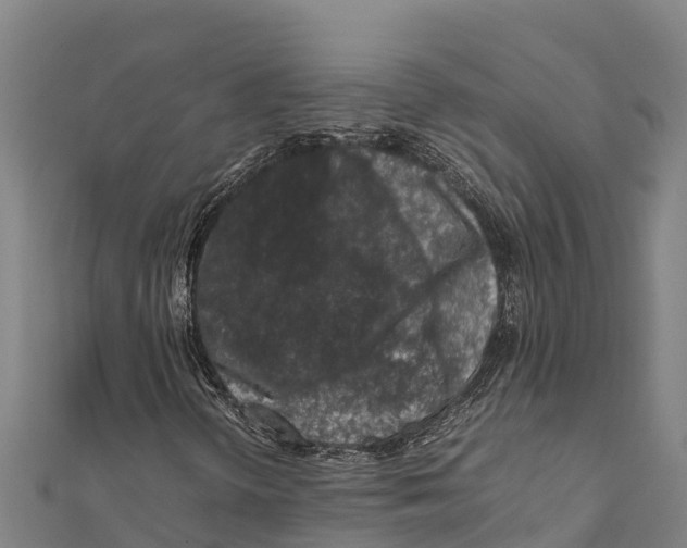 X0000111601298200908131354