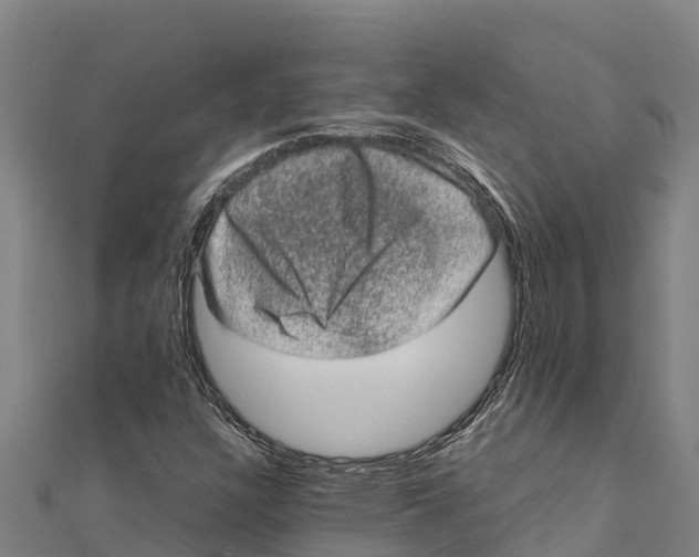 X0000111601304200908131354