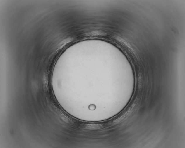 X0000111601305200908131354
