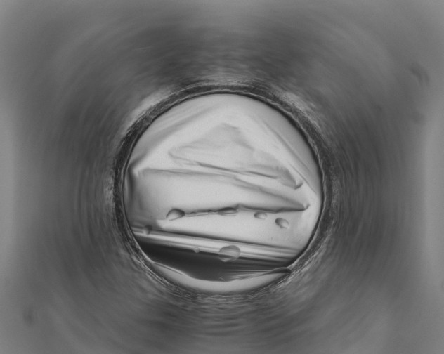 X0000111601307200908131354