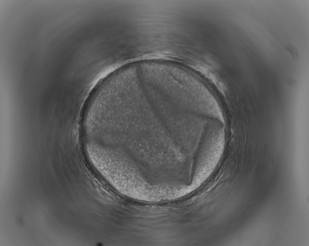 X0000111601308200908131354