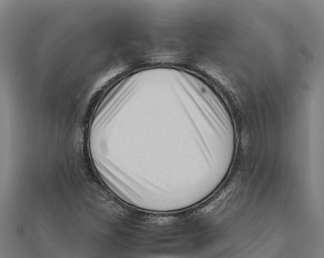 X0000111601309200908131354