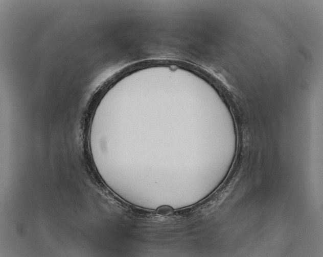 X0000111601311200908131354