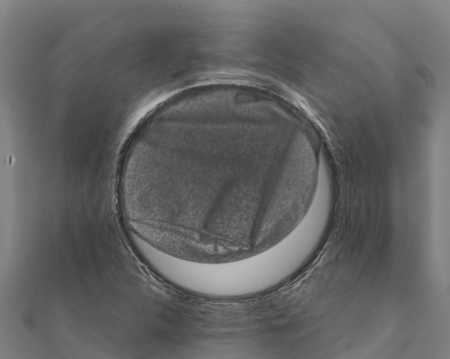 X0000111601312200908131354