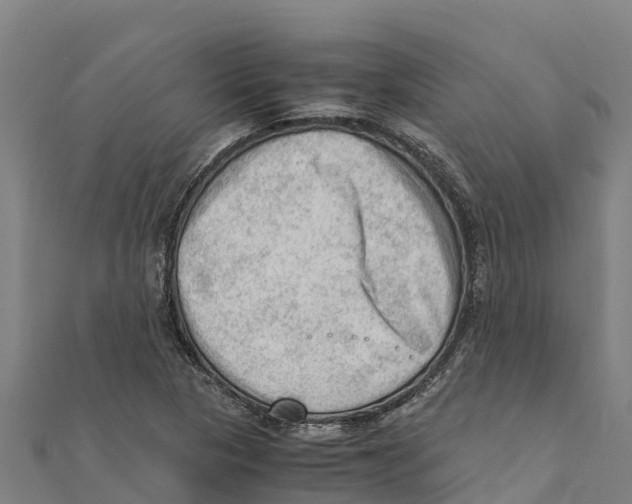 X0000111601313200908131354