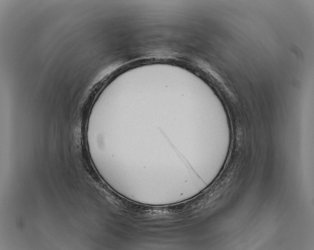 X0000111601315200908131354