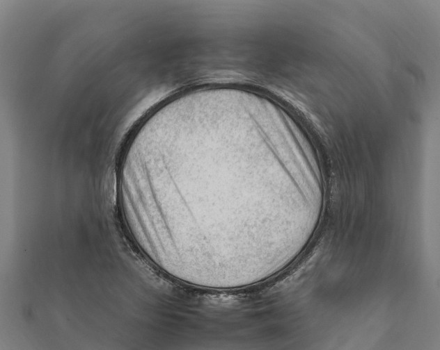 X0000111601317200908131354