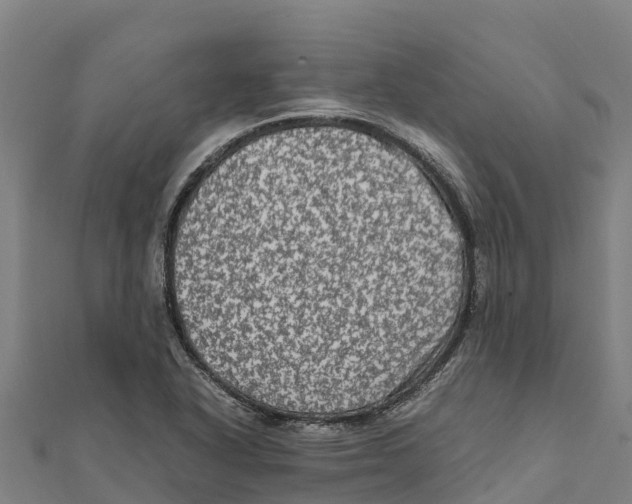 X0000111601318200908131354