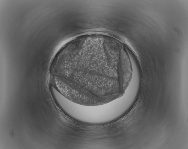 X0000111601320200908131354
