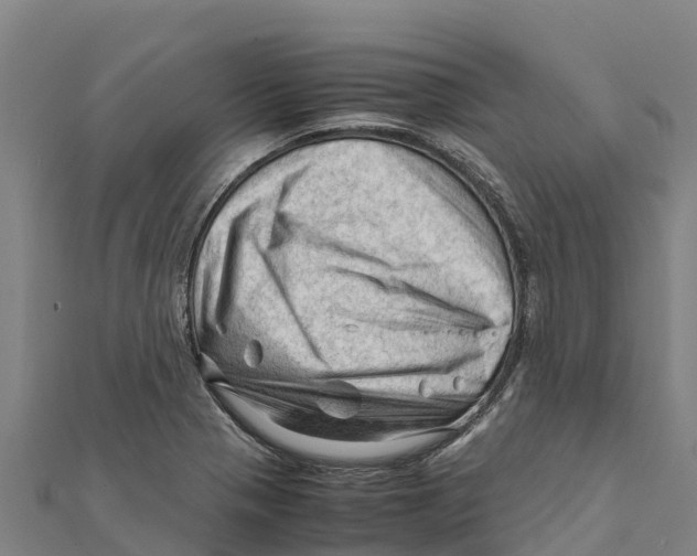 X0000111601321200908131354