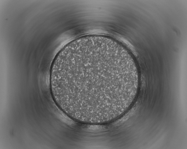 X0000111601322200908131354