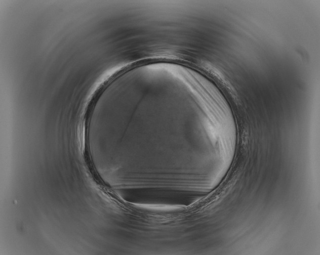 X0000111601323200908131354