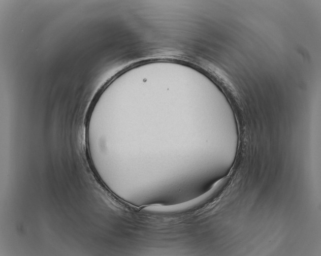 X0000111601324200908131354