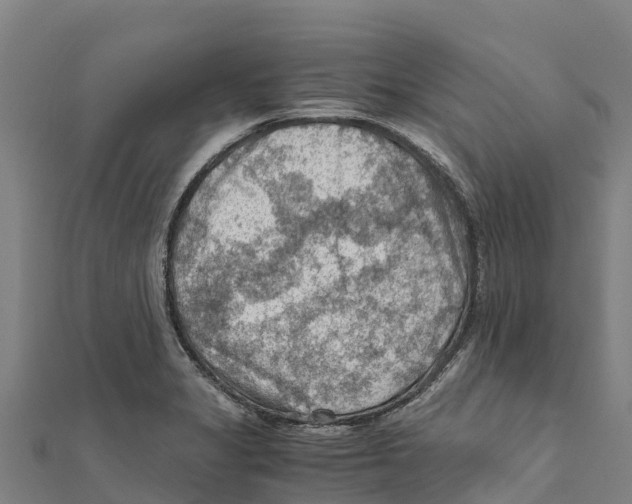 X0000111601325200908131354