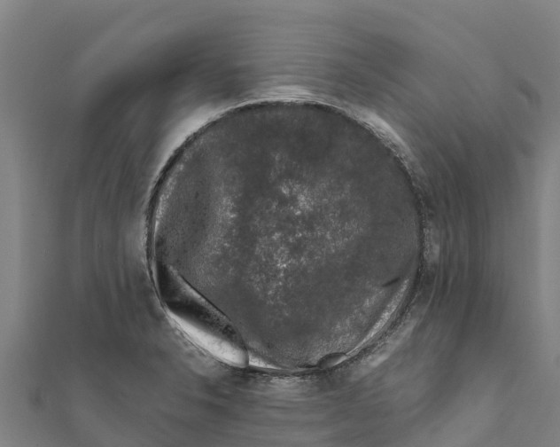 X0000111601326200908131354