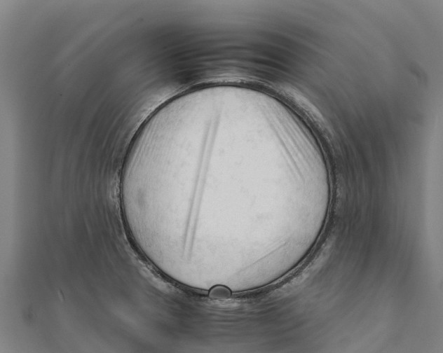 X0000111601329200908131354