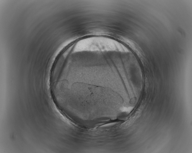 X0000111601331200908131354