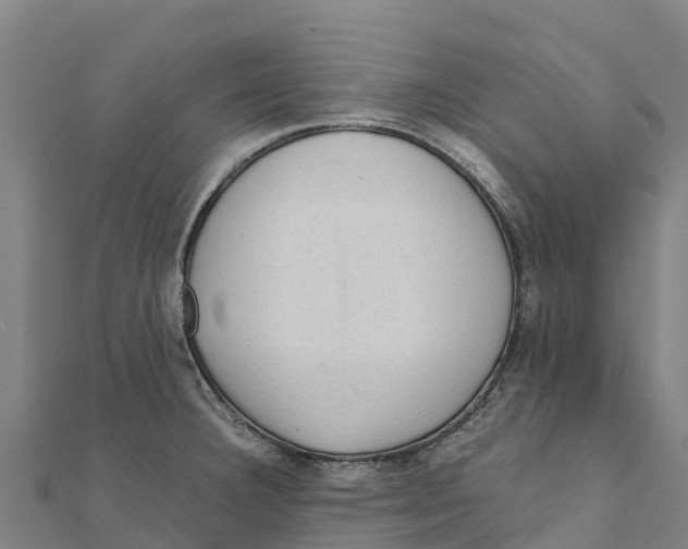 X0000111601332200908131354