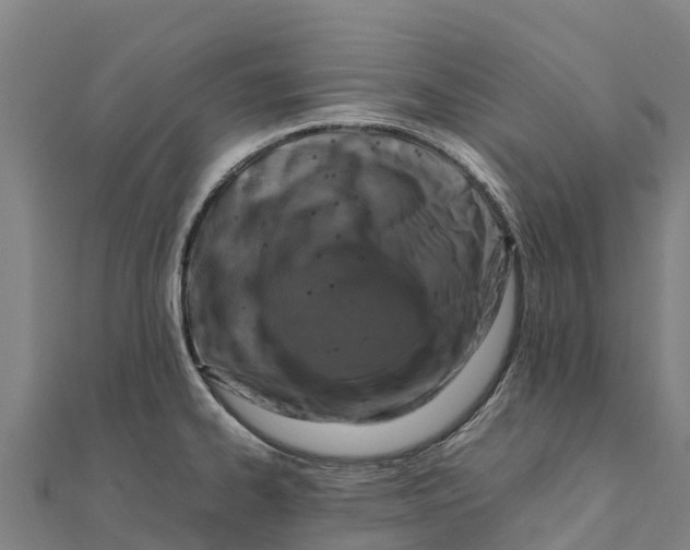 X0000111601334200908131354