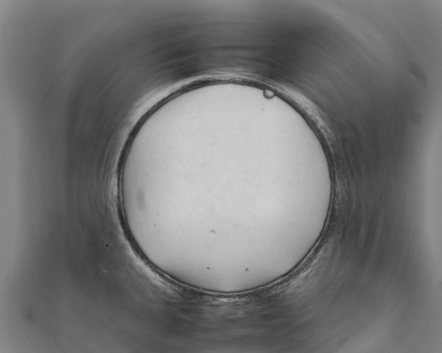 X0000111601335200908131354