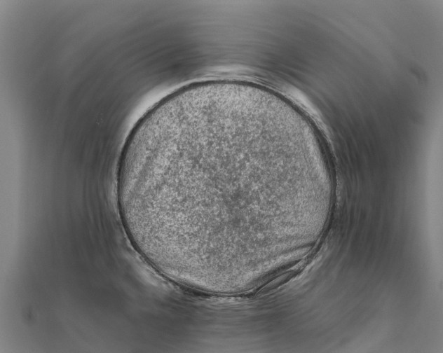 X0000111601336200908131354