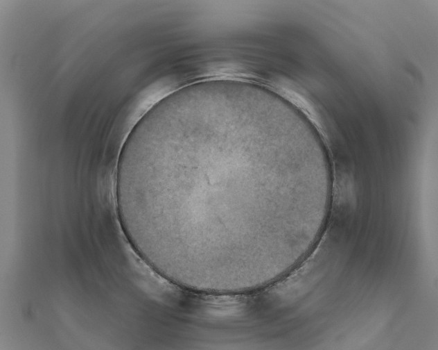 X0000111601338200908131354