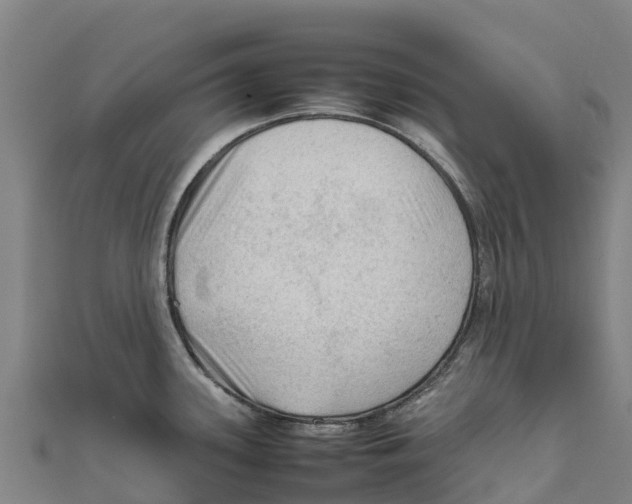 X0000111601339200908131354