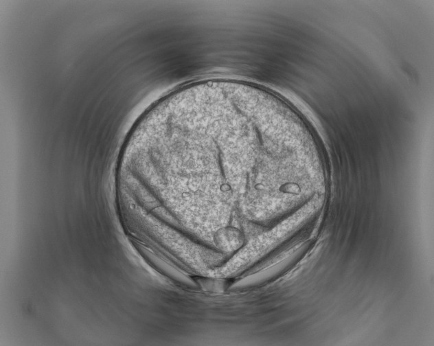 X0000111601341200908131354