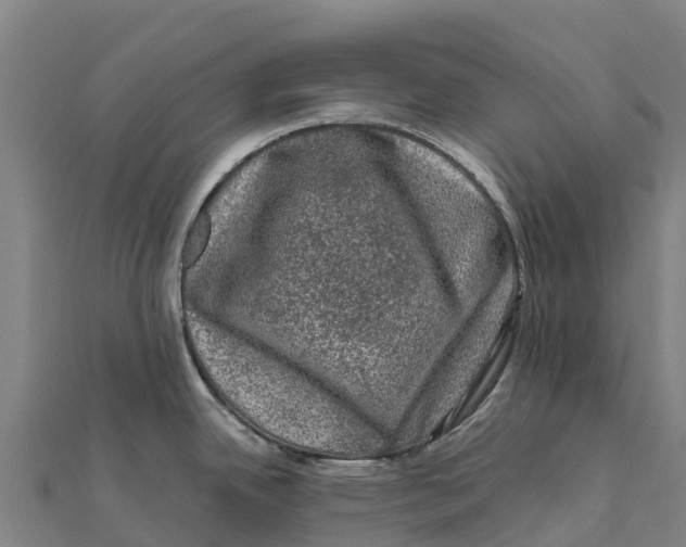 X0000111601342200908131354