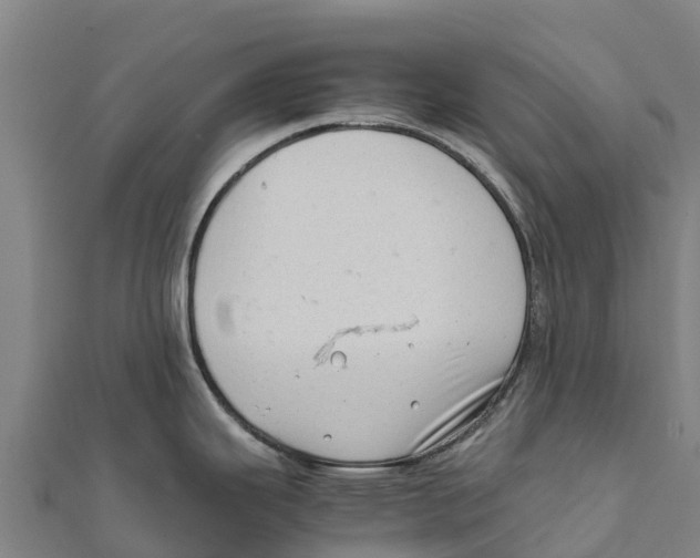 X0000111601343200908131354